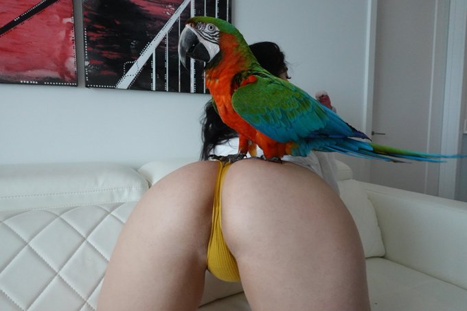 Stephanie's pics and videos FJQrA62XoAIQumt jpg:small preview