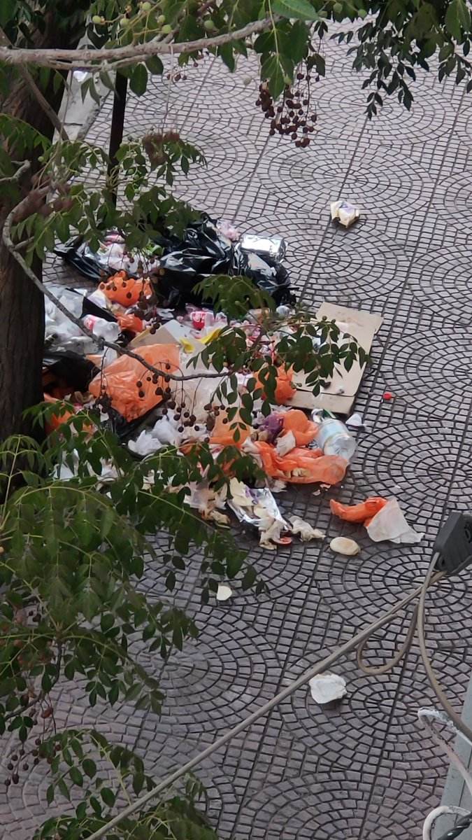 cubicamente's tweet photo. @munidelosandes nadie fiscaliza los locales del centro que dejan su basura afuera durante los días que no pasan recolectando? #losandes https://t.co/uQy80TmMFA