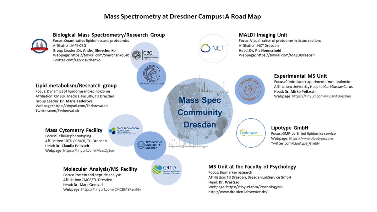 LabShevchenko's tweet photo. Very pleased to present updated Road Map and website for #MassSpec in #Dresden! We are 8 labs working on all aspects of bio-mass spectrometry! 
Event' schedule comes shortly
Stay tuned! 

https://t.co/1ug3w8URCC

@mpicbg @tudresden_de @NCT_UCC_DD @Lipotype_GmbH  @fedorovaLab https://t.co/0M9RuiRBYa