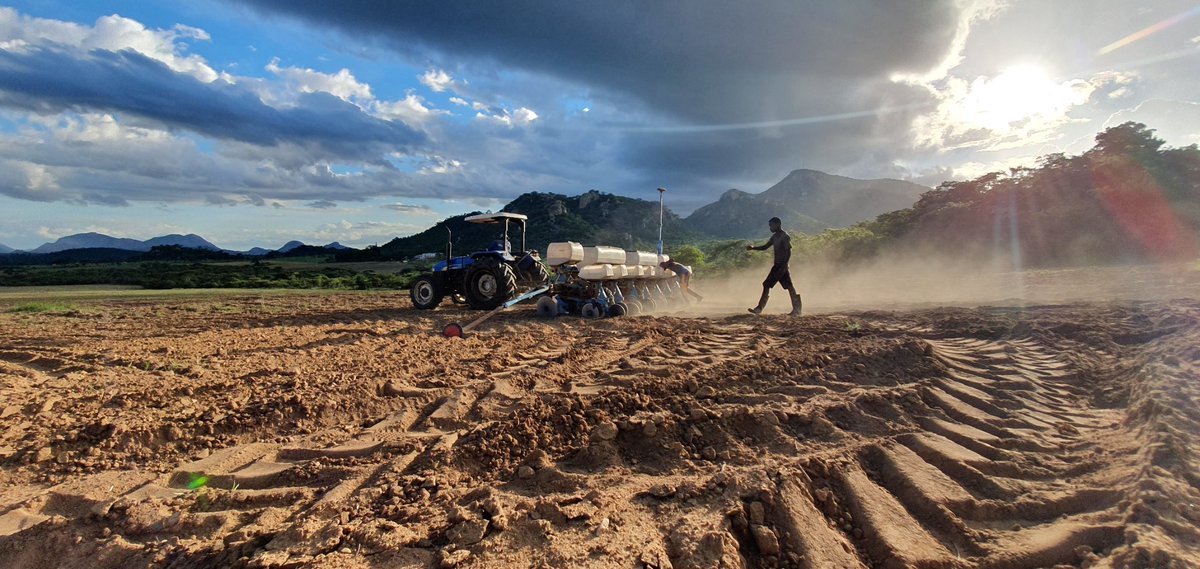centre_pivot's tweet photo. Planting amidst season change #climate https://t.co/VN46oiPoGB