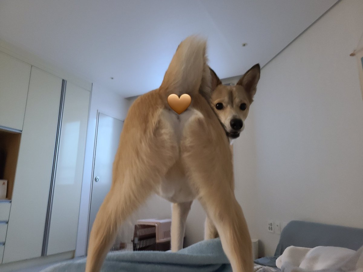 메밀묵 tweet media