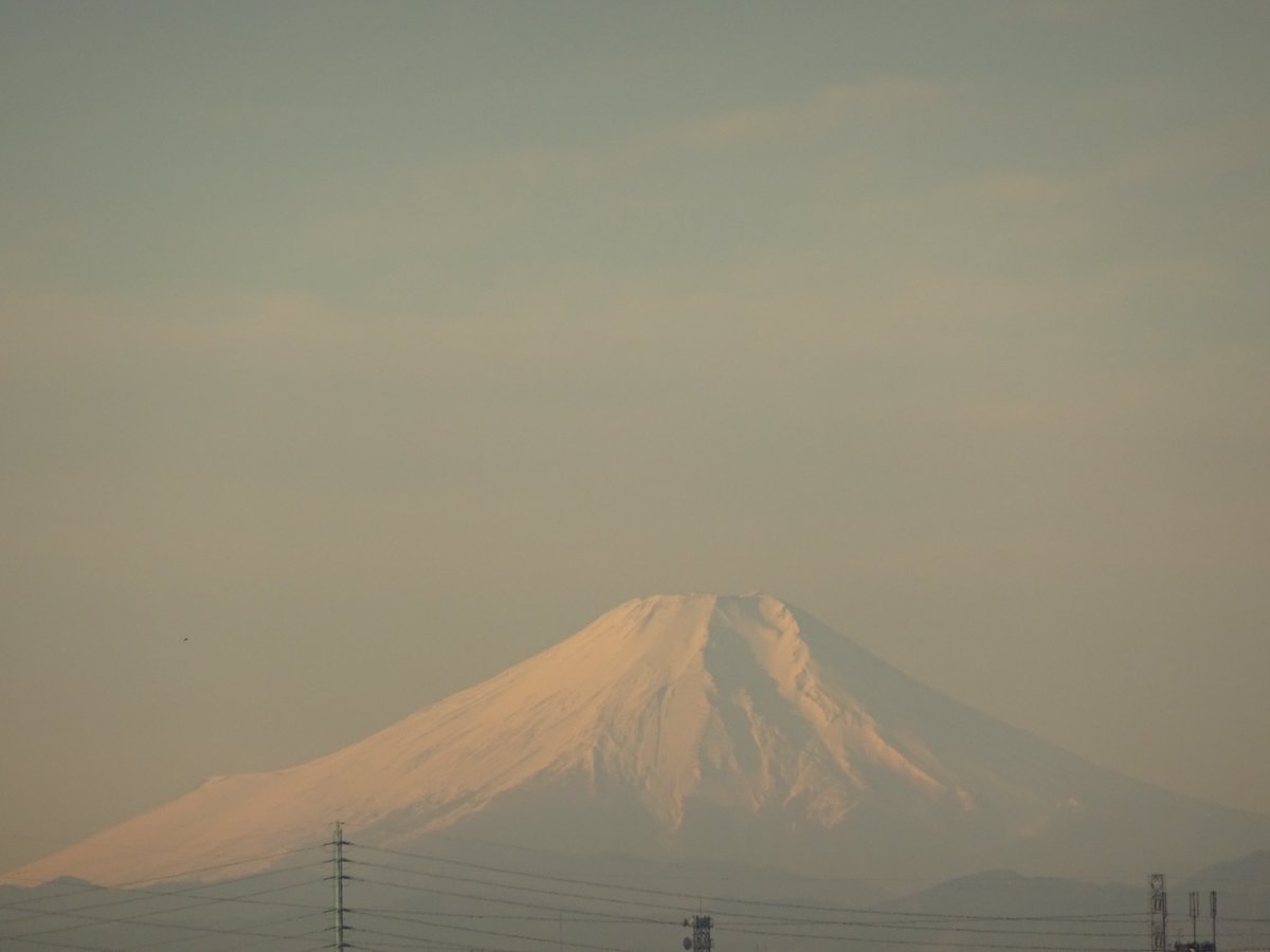 明日在宅だから今日頑張ろうと思った矢先に電車止まる(´･ω･`)