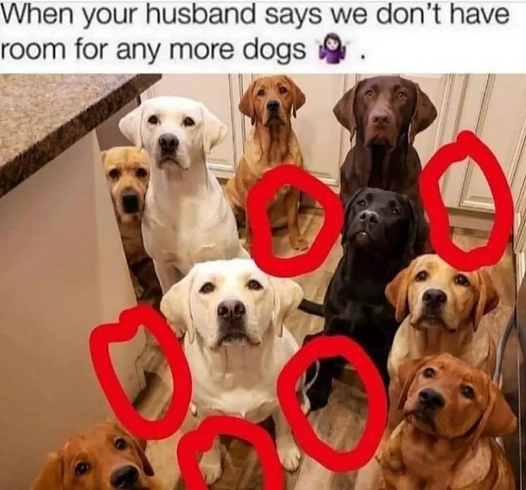 FJQzd3nX0AANuwl?format=jpg&name=medium