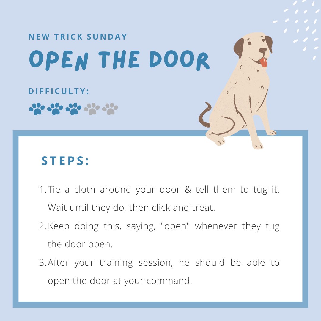 ThePetsPeople_'s tweet image. This command is taught for assistance dogs to help disabled persons in opening and closing doors. 🐕

You can also use this trick to teach your dog to let themselves out, but only teach this if you have a fenced-in yard. 🙌

#DogTraining #DogTricks #DogCommands