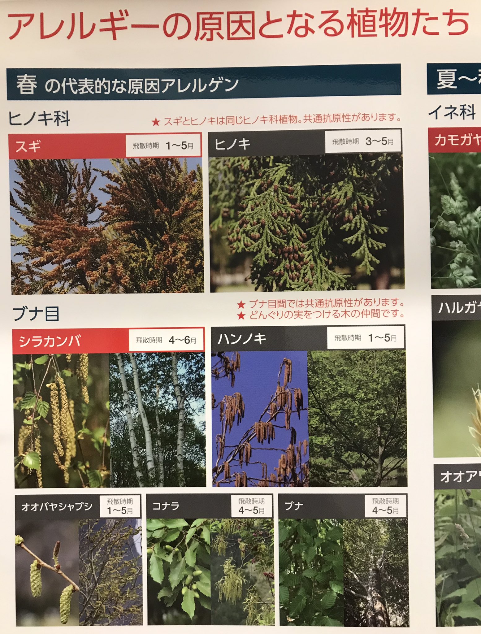 中井耳鼻咽喉科 奈良 学園前 抗ヒスタミン薬の中には内服すると眠たくなるものがあります 眠気を感じていないつもりでも作業効率 インペアードパフォーマンス が落ちるものがあります 内服薬を始める場合は眠気が出ない薬から始めてください
