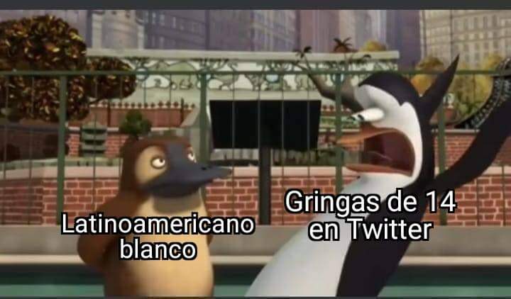 Jyushi114's tweet photo. Como soy re pálido automáticamente ya no soy latino, turste 😢 #ShutUpGringo2022 https://t.co/nvxU9M5lYQ