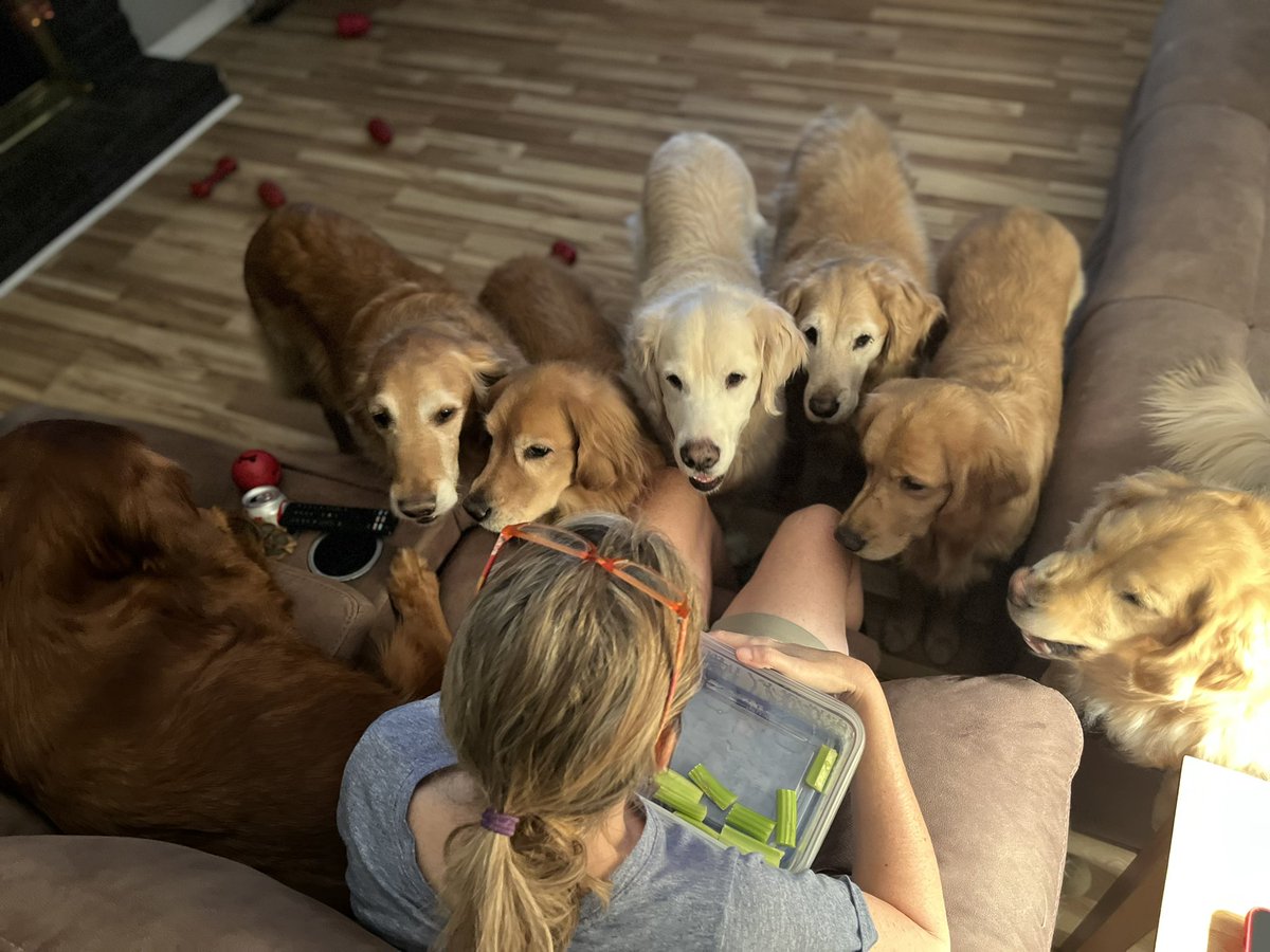 Happy pack watching the Chiefs game