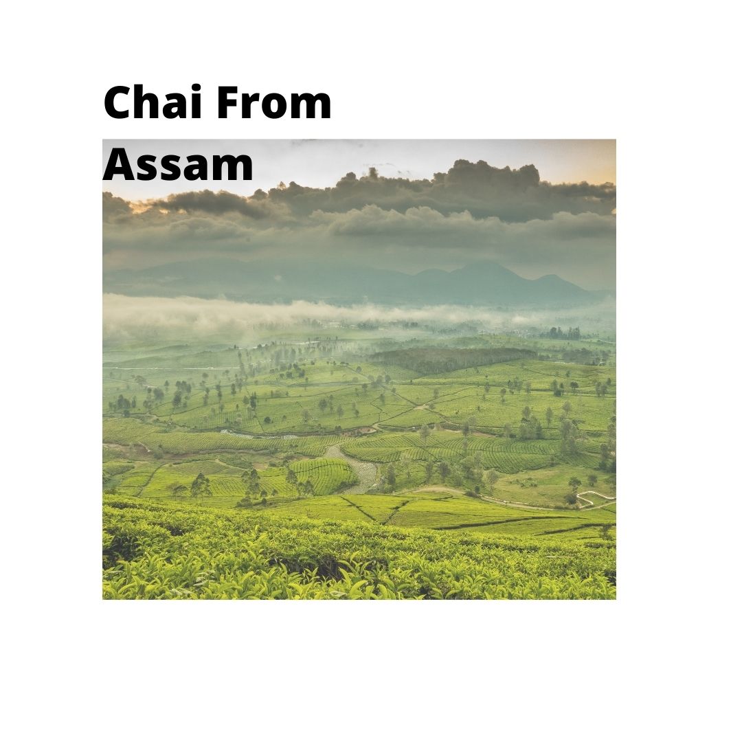 audioodigos's tweet photo. (2) With hundreds of estates and gardens, taking a tea estate tour or even staying at one is an absolute must-do in Assam.
Download the app here- https://t.co/XGVBXuPBBj 
.
.
.
#travelgoals #travelblog #travelphotos #travelphotographer #travelporn #wanderxwonder #indianculture https://t.co/afbRUUxa6d