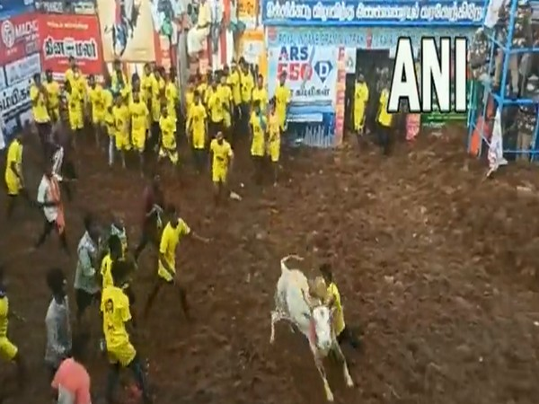 MirrorNow's tweet photo. Day 3 of #Jallikattu begins in #Alanganallur area of Madurai. 

(📸ANI ) https://t.co/CFpFH1GUiq