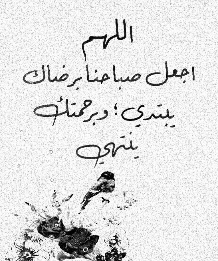 Raaed_Bahar's tweet photo. #صباح_Iلخير https://t.co/Bth9e1CeBR