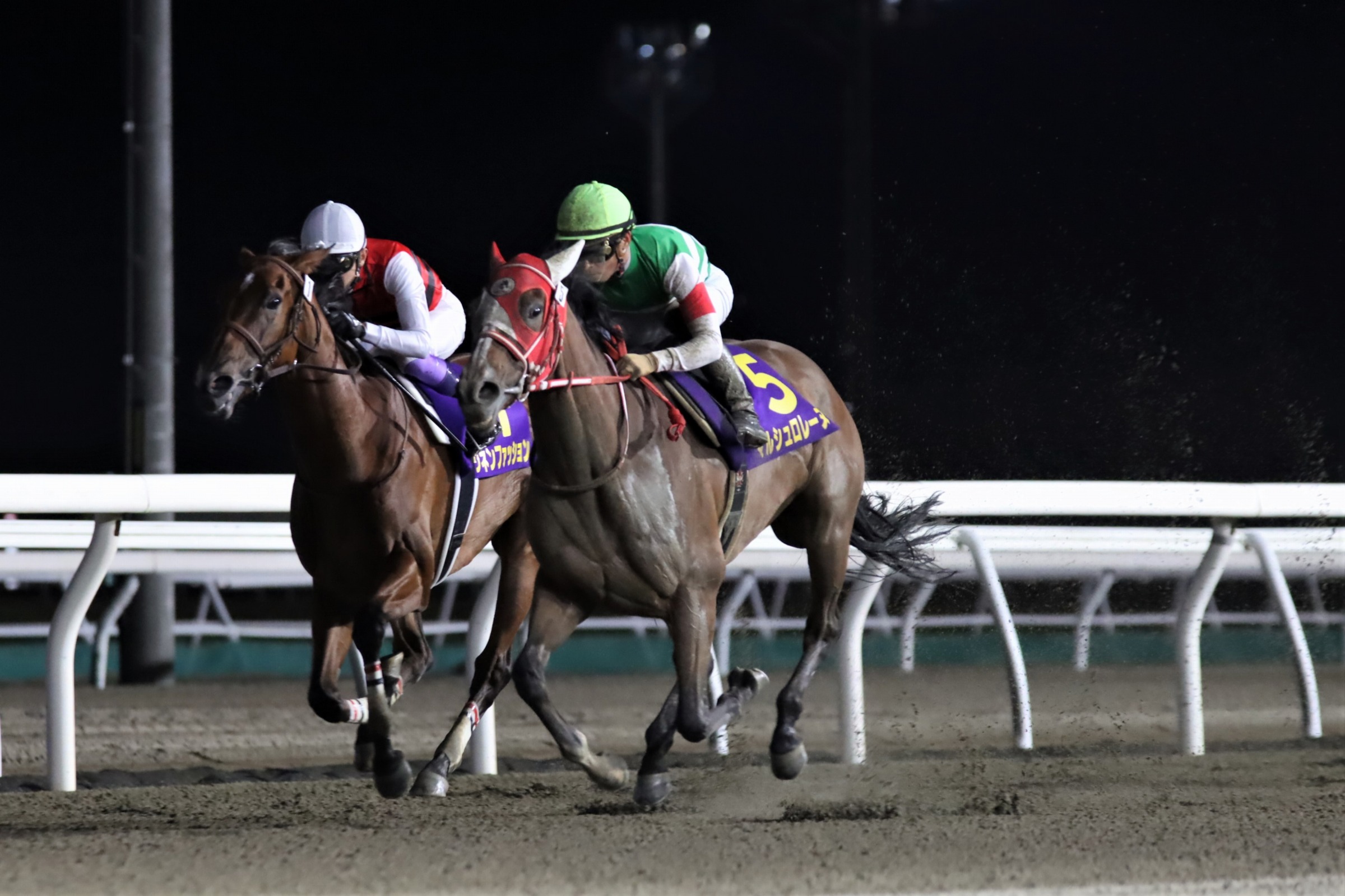 がんばれ ホッカイドウ競馬 Narグランプリ また 昨年のブリーダーズゴールドc 門別 を制した後 日本馬 として初めて米g ディスタフを制したマルシュロレーヌ 栗東 矢作芳人厩舎 が 特別表彰馬 に選出されました T Co Ggpcjkwd79