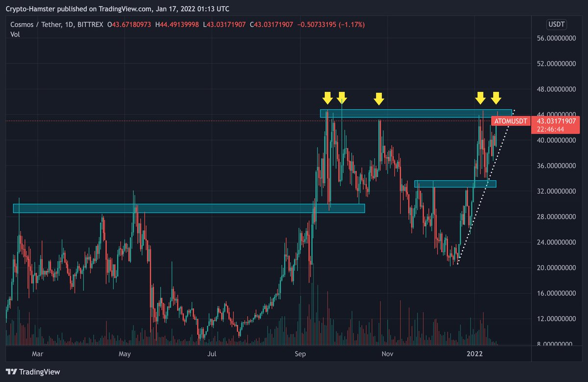 CryptoHamster tweet media
