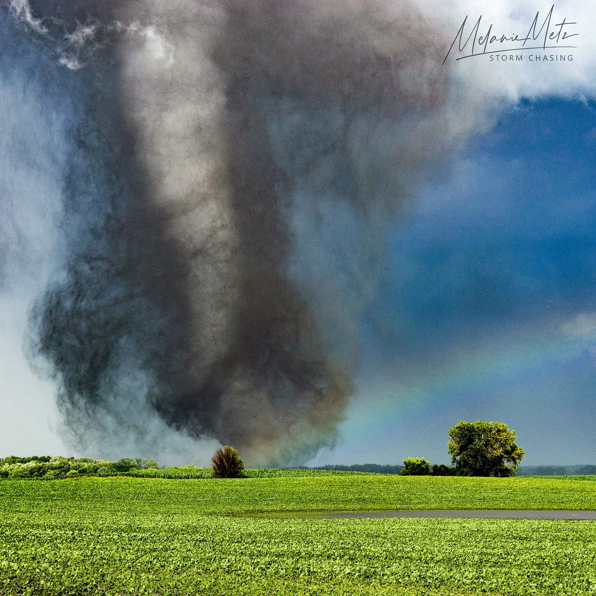 Melanie Metz tweet media