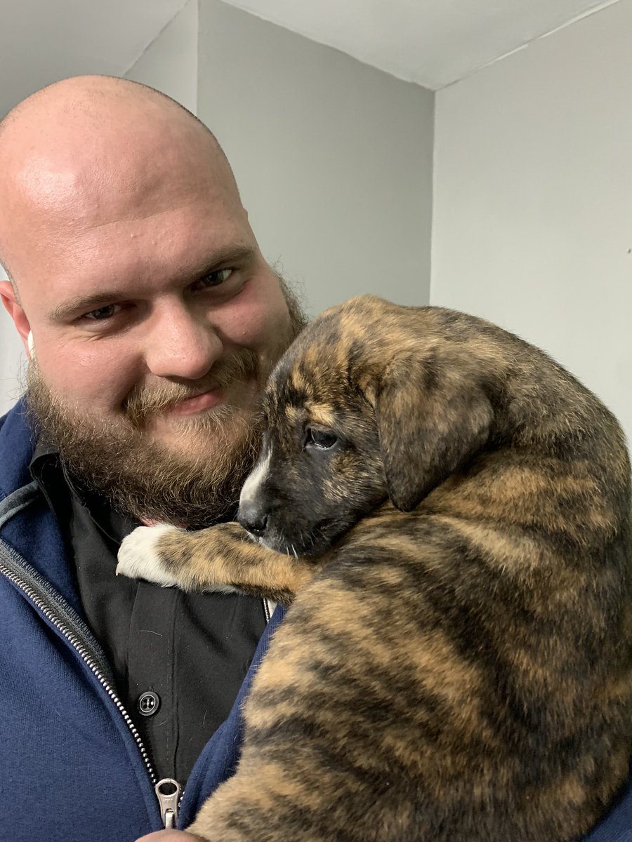 _brandiesel's tweet photo. our girl Dolly 💕 https://t.co/4DKObwcfoU