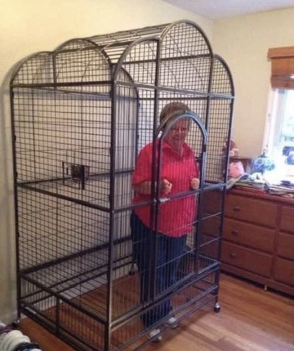 RT @LiamJenkinsPSN: Granny stays in the cage until you trade Jalen Reagor @Eagles https://t.co/bgUh5vHwoE
