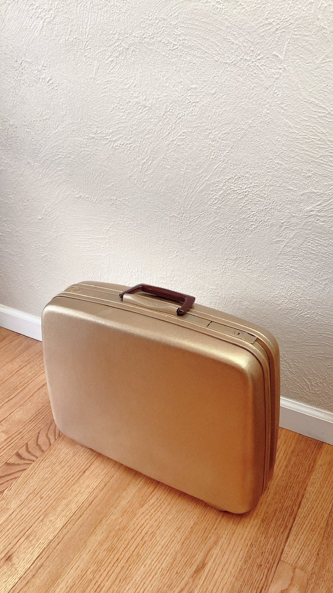 juvanixx's tweet photo. Suitcase and leek too! https://t.co/6Yl7IvTTLY