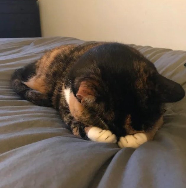 shy 🤭
#Jungsu #정수