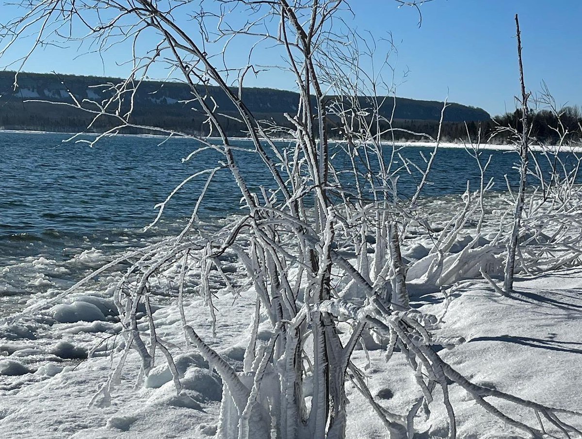 bagida_waad's tweet photo. “This is so good to see ice.” #mera said. 
“Yes. It’s so good. I heard from some oldish whitefish talking and they were hoping for ice.” Atlantic #aquaman said. #GeorgianBay #whitefish #icecoverage #greatlakes https://t.co/3HzzAvNzZn