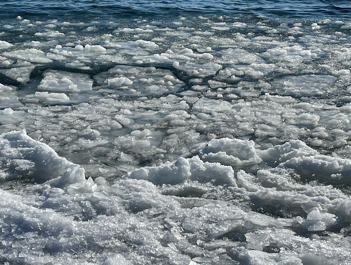 bagida_waad's tweet photo. “This is so good to see ice.” #mera said. 
“Yes. It’s so good. I heard from some oldish whitefish talking and they were hoping for ice.” Atlantic #aquaman said. #GeorgianBay #whitefish #icecoverage #greatlakes https://t.co/3HzzAvNzZn