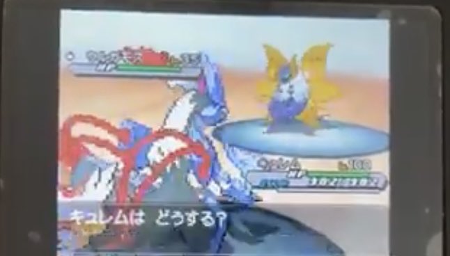 色違いウルガモス Twitter Search Twitter