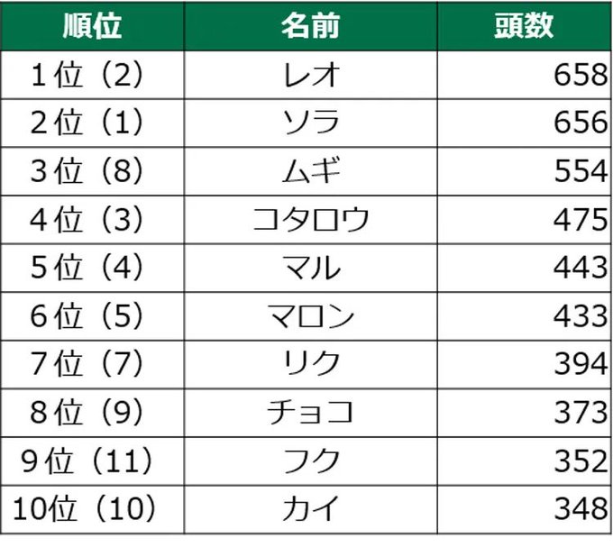 優里レオ歌詞の意味を考察 愛犬の名前と重なり感動する人続出 あなログ