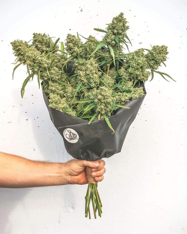 weednsnacks's tweet photo. Valentine’s Day is almost here https://t.co/QFr4lujDn3