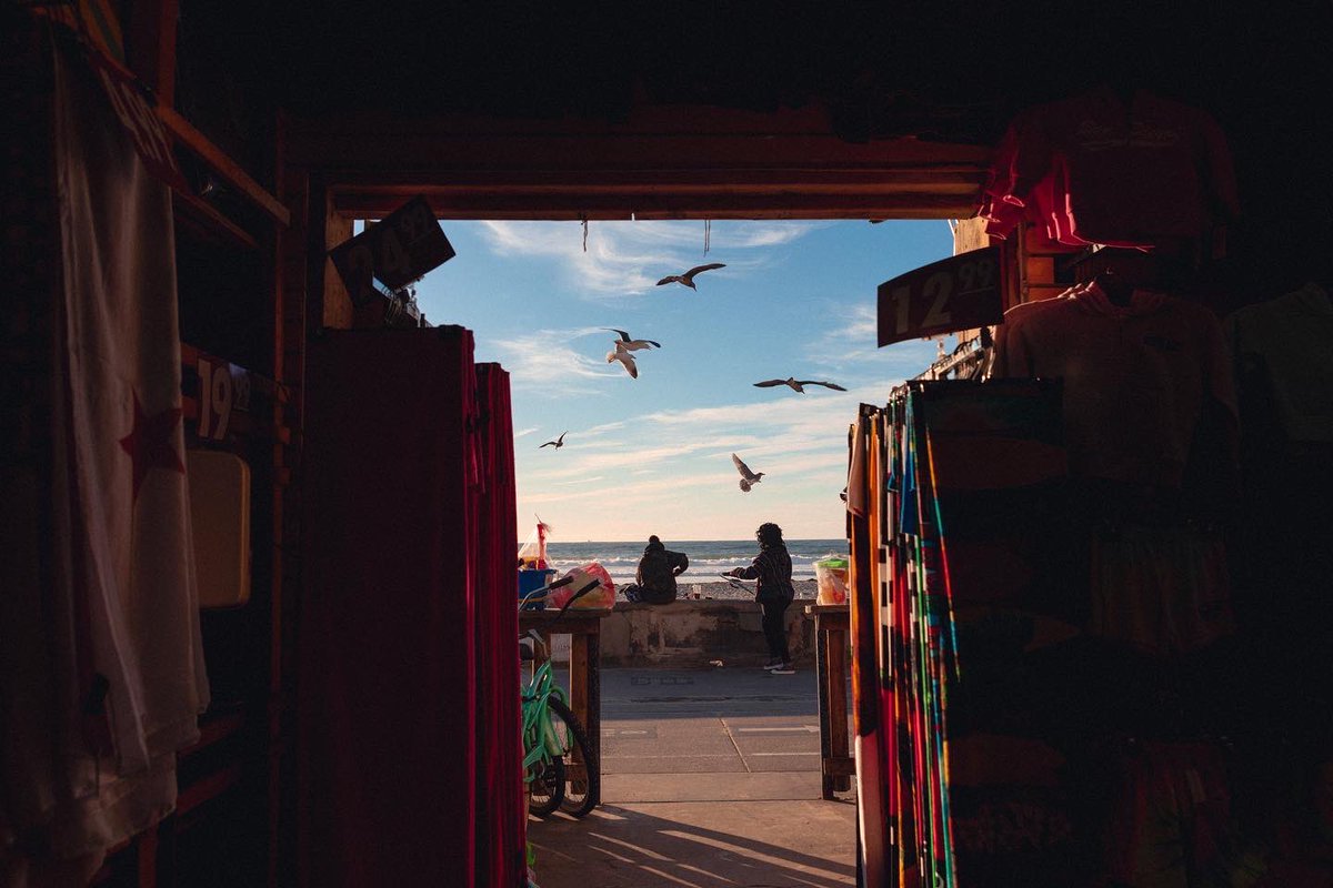 AustinAndersons's tweet photo. 🏝🏜January in San Diego // shot on the Fuji X-Pro III https://t.co/U7fxqfM6bR