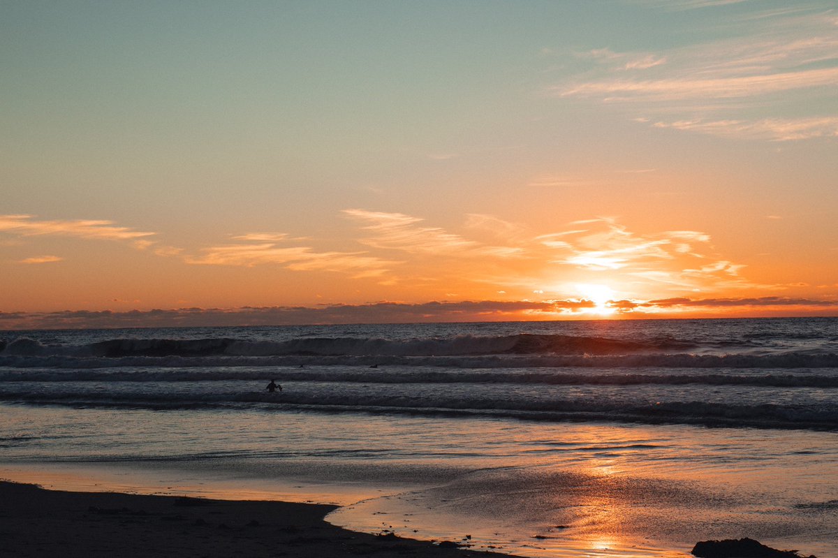 AustinAndersons's tweet photo. 🏝🏜January in San Diego // shot on the Fuji X-Pro III https://t.co/U7fxqfM6bR