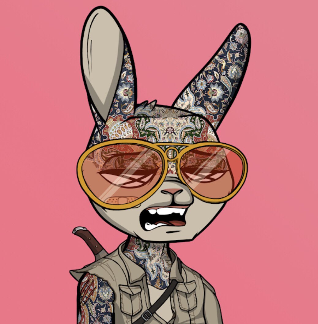 MrBFin's tweet photo. @MikeVaynerchuk @MadRabbitsRC that Jason Seife collab tho 🚀 🌙 https://t.co/Nq6YoY8GNl
