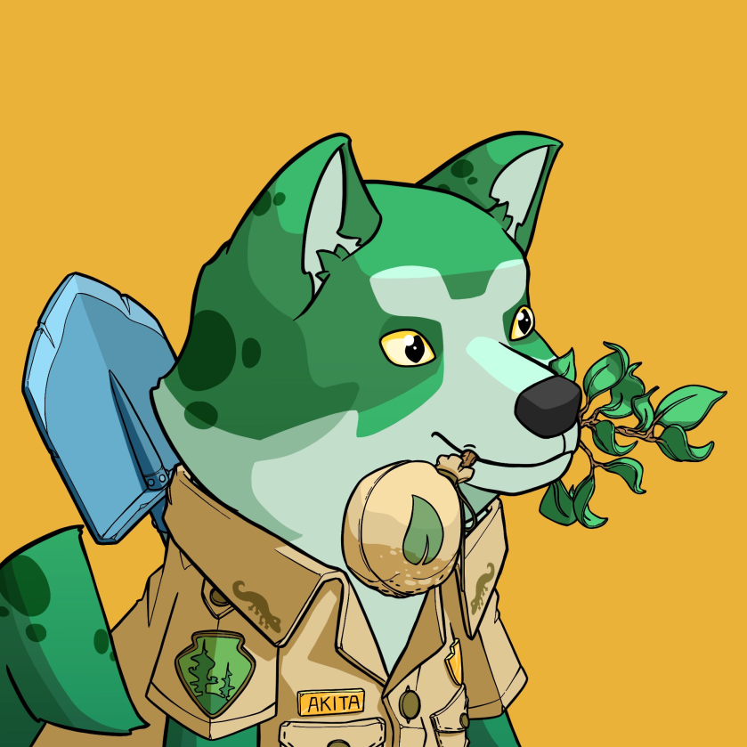 AkitaInuASA's tweet photo. The Official Akita X @al_goanna Twitter Auction has ended! 

AKC0123 officially sold for 1700 Algo! 

100% of the proceeds will go to planting trees 🌳 and helping dogs 🐶 

#Algorand #AlgoNFTs #AlgoNFT #charity https://t.co/rm5BKjuW3U