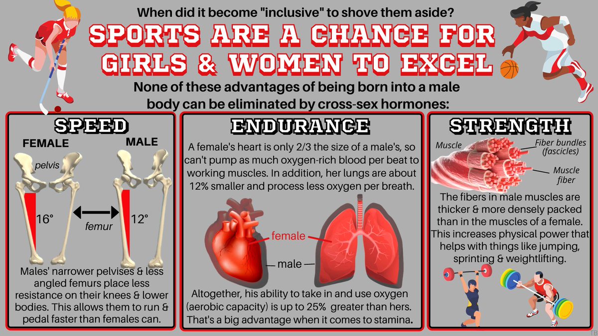 She said it tweet media