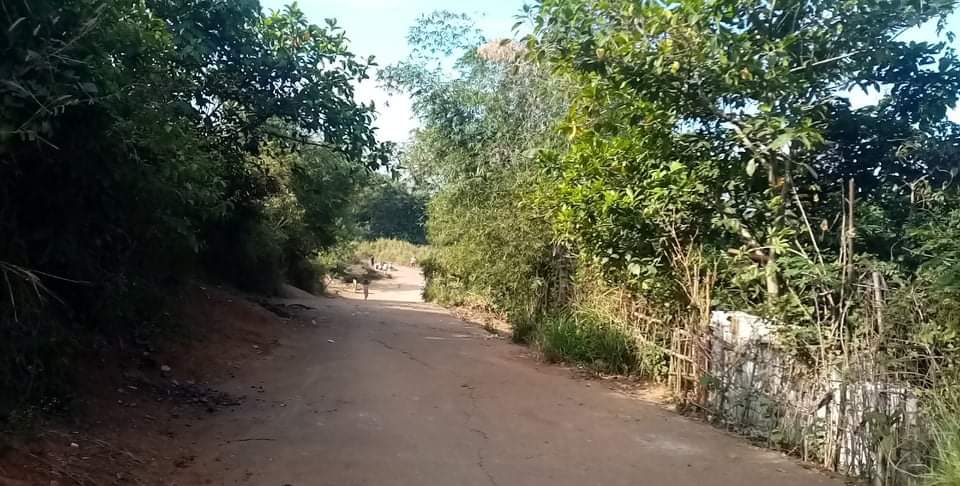 ColinaVico's tweet photo. GOOD MORNING PROVINCE OF ANTIPOLO ❤️❤️❤️ https://t.co/Ps0TtcueD9