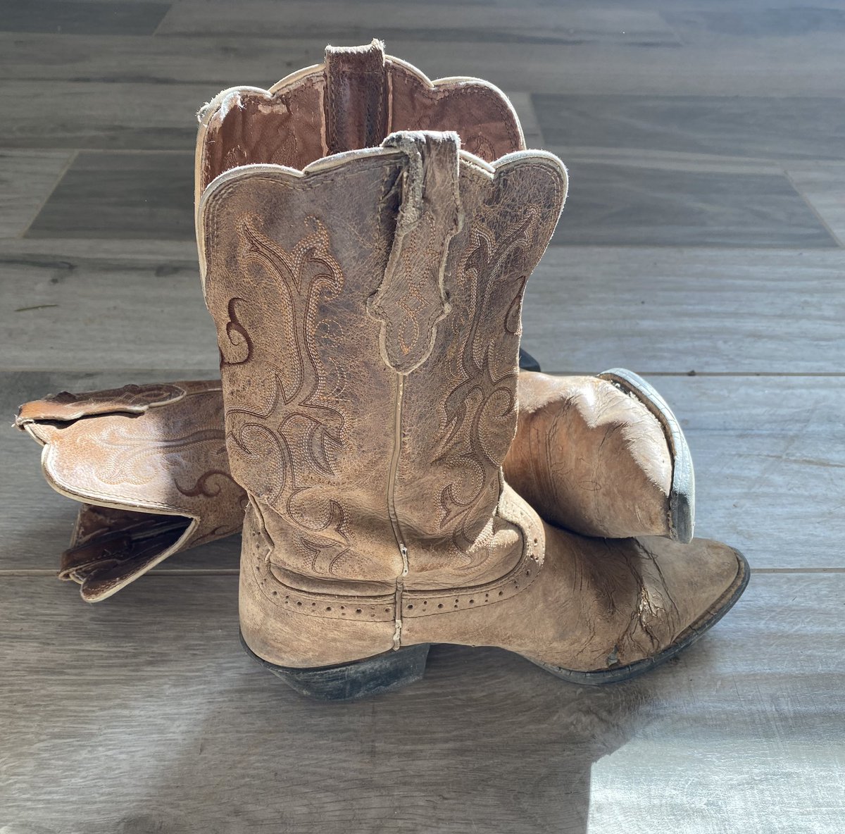 LindaSivertsen's tweet photo. I dunno. Might be time for new boots? ๐คท๐ปโโ๏ธ๐ด #butilovethem #wornin #dirtthroughsoles https://t.co/ARfLdotPbx