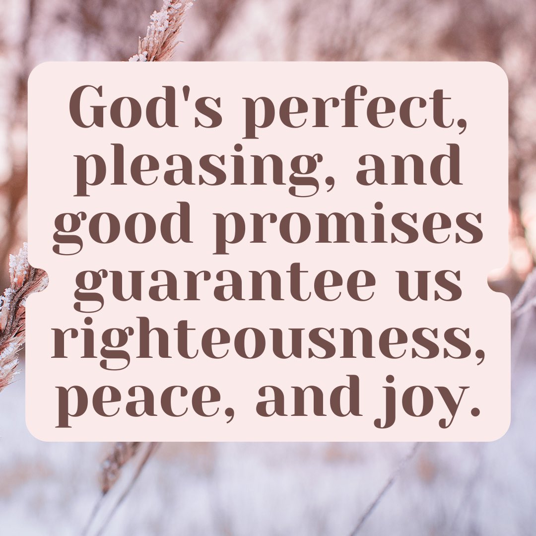 Denia Nassar (@nassardenia) on Twitter photo 