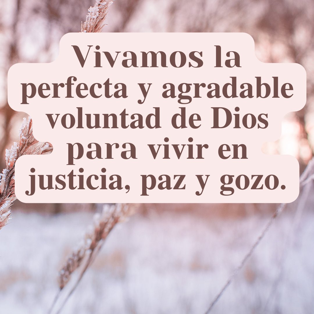 Denia Nassar (@nassardenia) on Twitter photo 