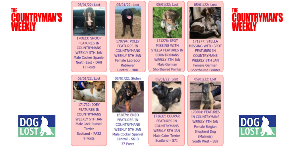 #Dogs featured in <a href="/CountrymansW/">The Countryman's Weekly</a> 

Snoop doglost.co.uk/pet/170823
Polly doglost.co.uk/pet/170794
Spot doglost.co.uk/pet/171278
Stella doglost.co.uk/pet/171277
Joey doglost.co.uk/pet/171732
Enzo doglost.co.uk/pet/162679
Coupar doglost.co.uk/pet/171637
Name Withheld doglost.co.uk/pet/170804