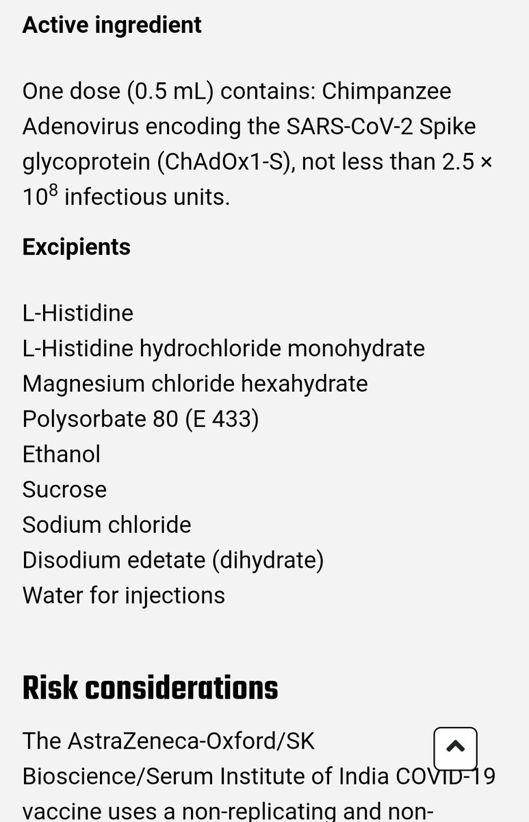 Rodrigo Quiroga 🔬 tweet media
