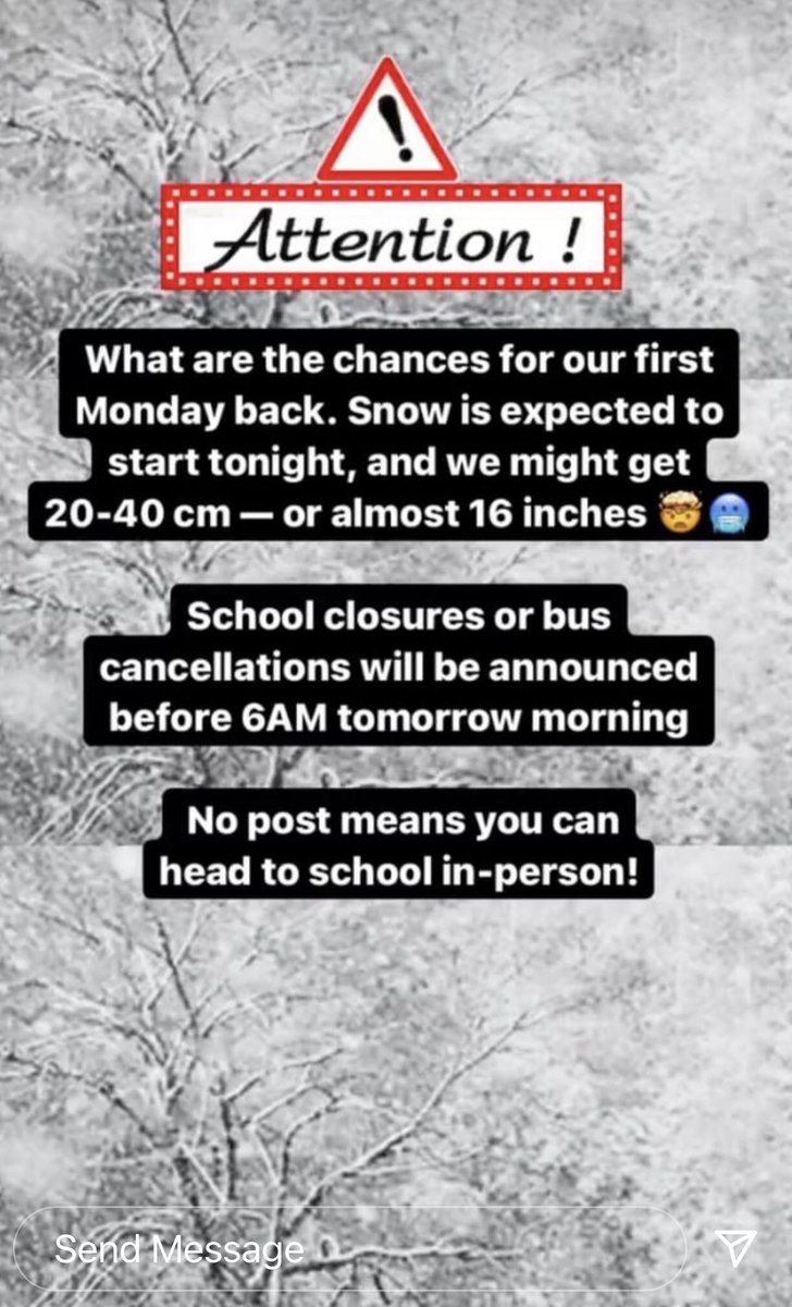 St Davids School (@stdavidssch) on Twitter photo 