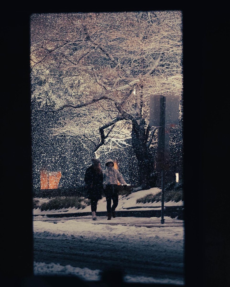 Andy Weber tweet media