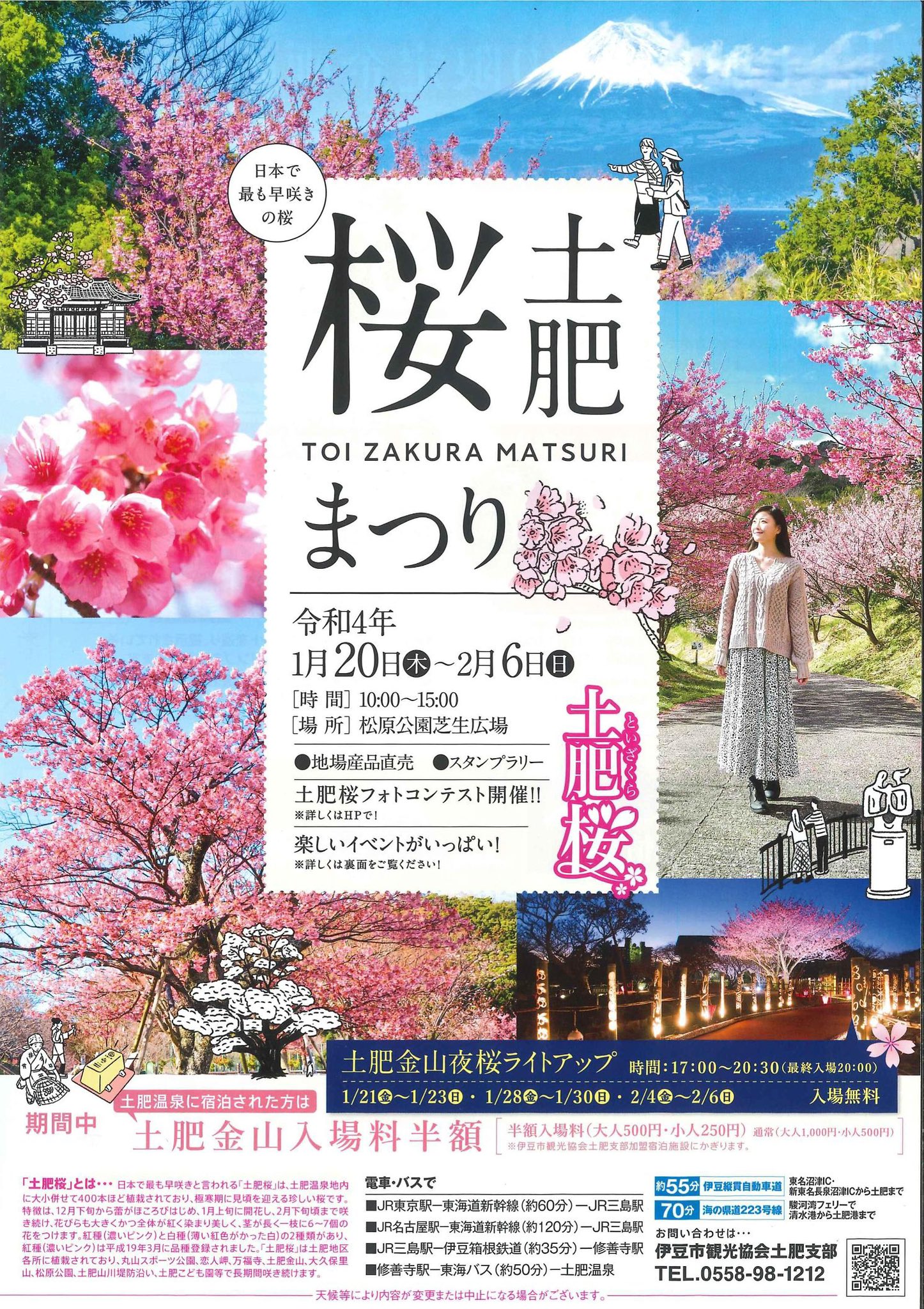公式 戸田観光協会heda Tourist Infomation 日本で最も早咲き 土肥桜 が1月日から始まります 河津桜よりピンク色が濃いめ タカアシガニは更に濃いめ 戸田温泉も濃いめ お泊りは 海のほてるいさば 磯割烹の宿山市 美浜
