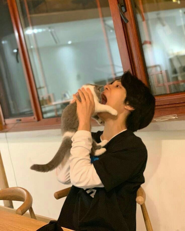 BLUESJAY7's tweet photo. PASSO MAL VENDO  ESSA FOTO KAKAKAKAKAKAKAKKAKAKAKAKKAKAKAKAKKAKAKAKAKAKKAKAKA o gato tá pedindo socorro, hendery plmorkakkakakalla https://t.co/ZBFEy9mvjj