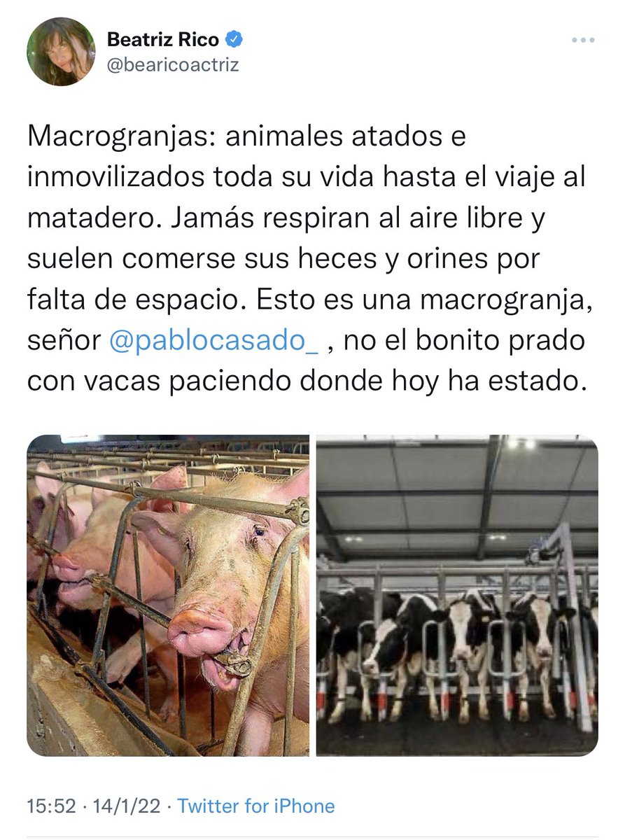 yagoalons's tweet photo. Esta es la respuesta de Beatriz Rico. 

Os podéis ahorrar el artículo. #StopClickbaiting https://t.co/nrHDfgfeEU