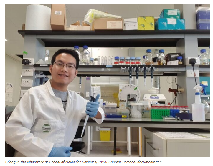 jmelonek's tweet photo. Please meet our PhD student Gilang and learn about 'Gilang’s Attempt to Achieve SDG Zero Hunger by Developing Hybrid Crops' Good luck for your PhD studies, Gilang!  https://t.co/P6Uc1pmaWo via @Indonesia Mengglobal @PlantEnergyBiol @SMS_UWA https://t.co/TdMKhJkMX4