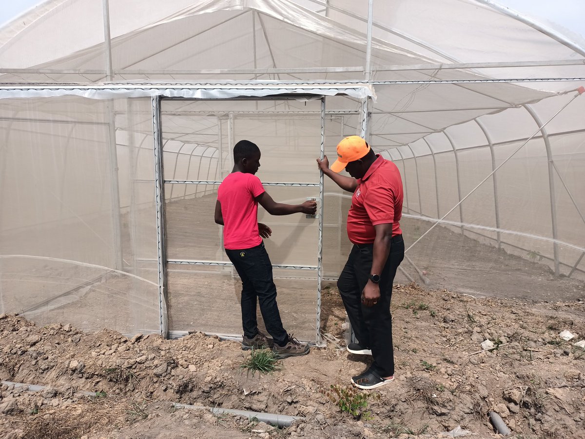 DOnafowora's tweet photo. Train up your child in the way he should go....
#FatherAndSon #bicfarmsconcepts #hydroponicsTechnology #farming https://t.co/LaC7Ffk00c