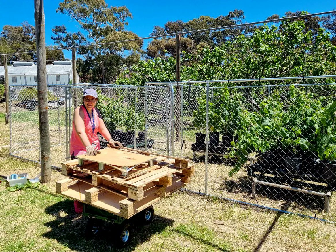 UofA_SET's tweet photo. Do #fungicides in the #vineyard affect #WineQuality?

@NS_Caliani is leading new @UniofAdelaide research into #WildYeast found on grapes - https://t.co/ebrZFawoRH

#UAMakeHistory #AdelaideResearch @WaiteResearch @ARCwinecentre #Yeast #Fungi #Grapevine #Viticulture #WineProduction https://t.co/NIvR8buZ1l