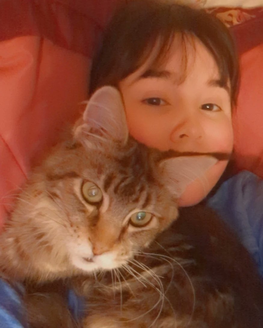hazynightcrafts's tweet photo. Day 4 of recovery 💓 #mypetandme #postsurgery https://t.co/dFlfDCqdHF