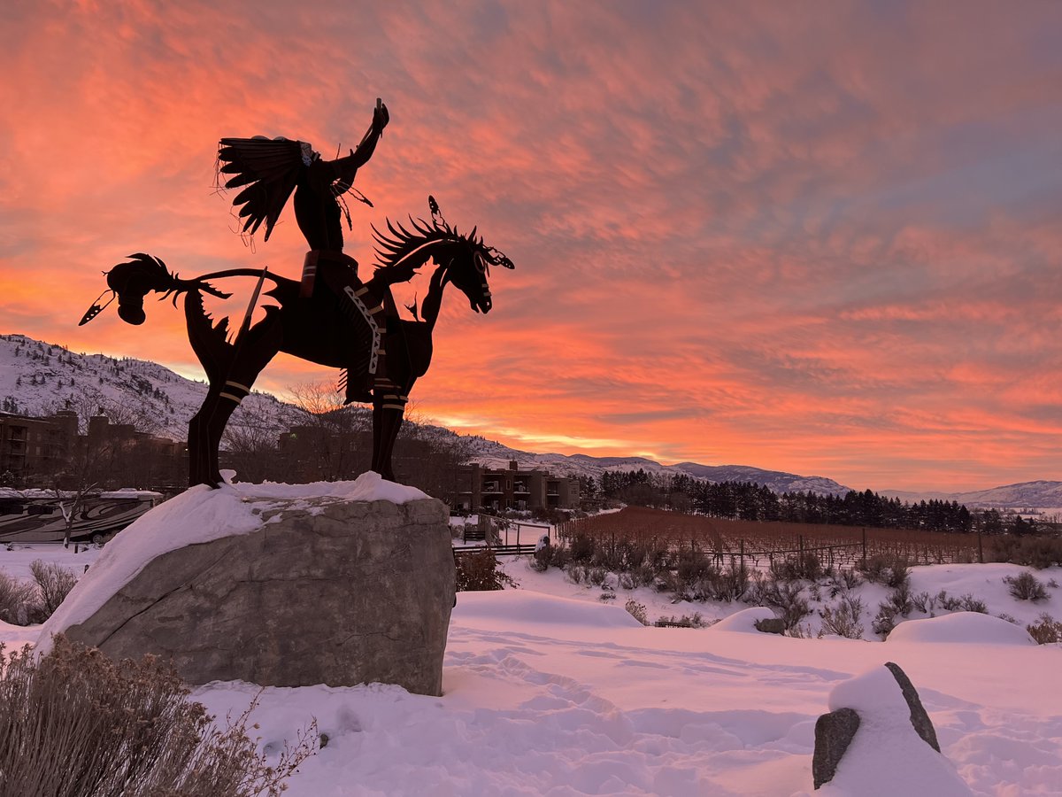 cbcnewsbc's tweet photo. Every weekend, we showcase some of the best photos you've sent us from around the province.

Photo captured by Kayla Neville at Nk'Mip Cellars in Osoyoos, B.C. https://t.co/afxxqeXfuv