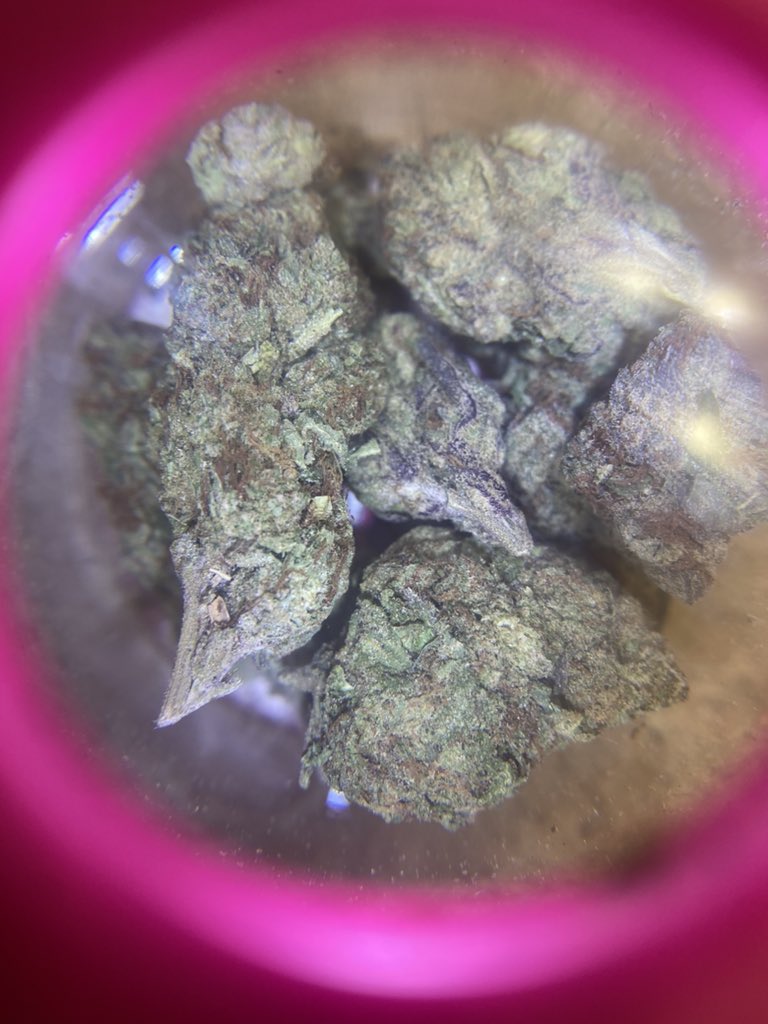 JuunyBugg's tweet photo. Cake mix OG indica https://t.co/RTT4sg5WIR
