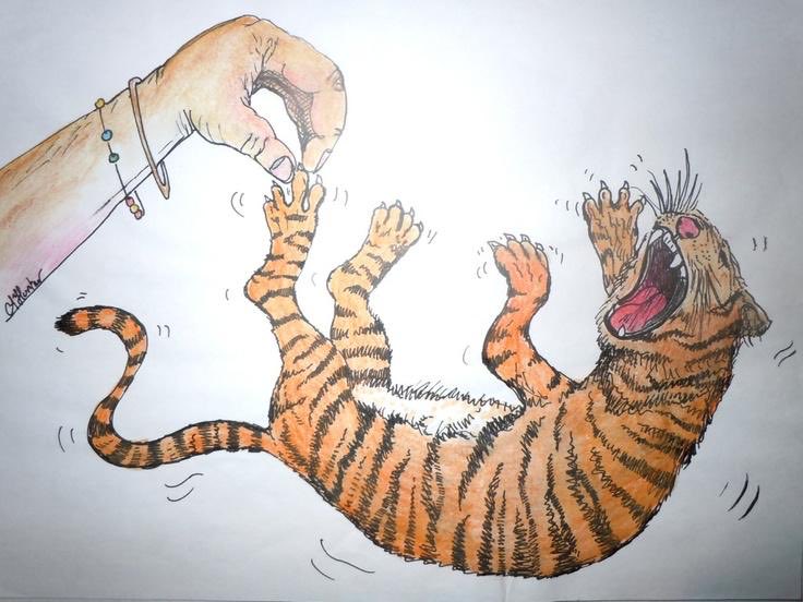 losmennones's tweet photo. Who has ever caught the tiger by his toe ? eeny meeny miny moe. https://t.co/pVVlvm2cHz