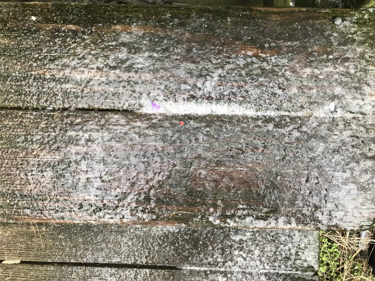 ItsAprilBritt's tweet photo. These were my front steps this morning… lots of ice https://t.co/UqijlNuyI5
